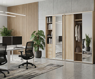 фото Шкафы-Купе Maris A  №2