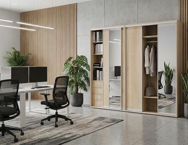 фото Шкафы-Купе Maris A №2