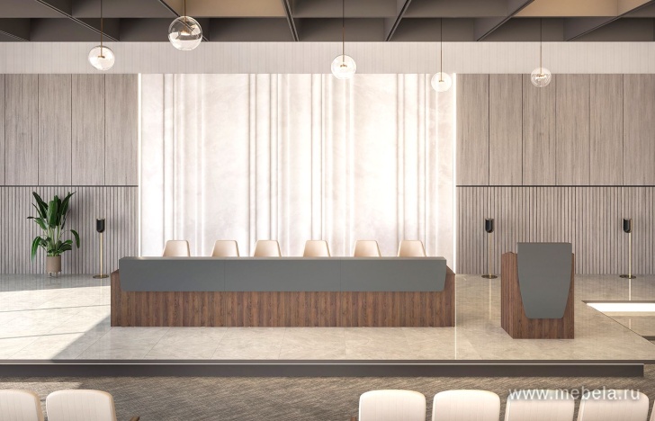 стойка ресепшн Speech