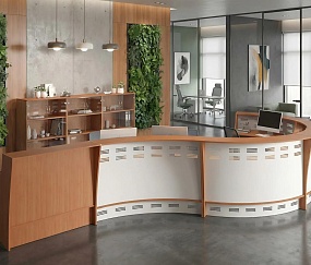 ресепшн Формула