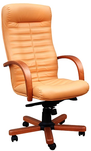 фото кресло Tu Орион Лагуна №5