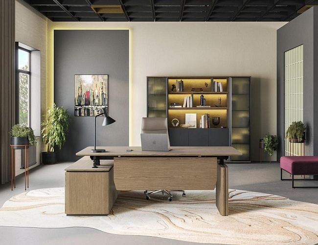 фото Кабинет руководителя Ion №3