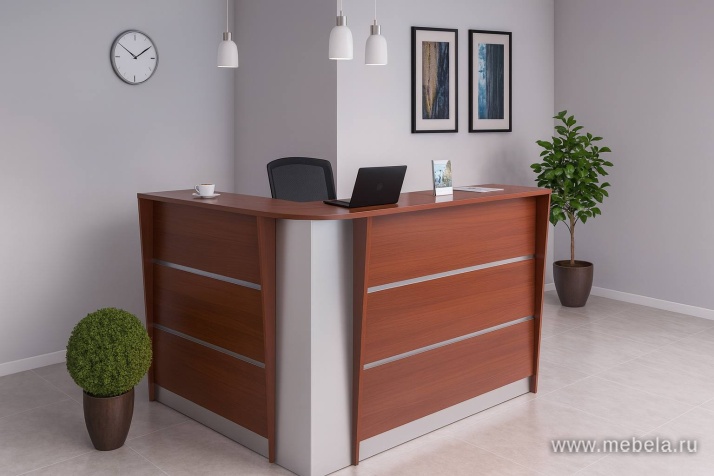 ресепшн Rapid