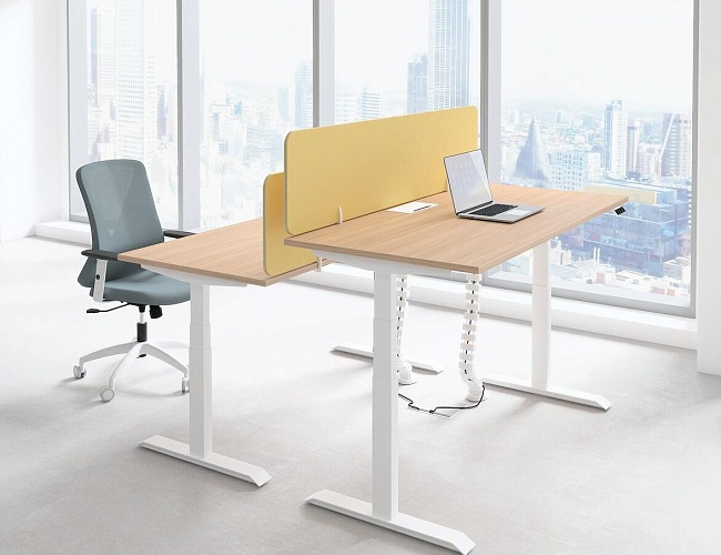 фото мебель Motum Plus