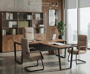 фото кабинет Project Dub T 