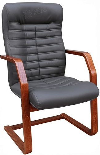 фото кресло Tu Орион M/EX/PL №2