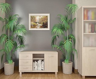 фото кабинет First White №3