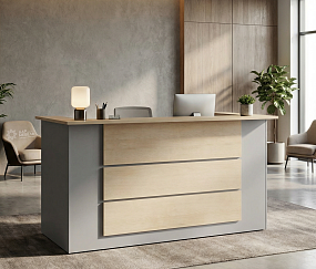 ресепшн Профит Серый