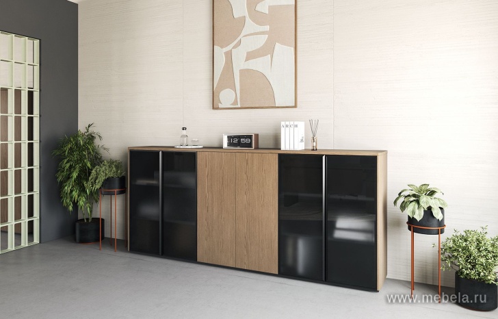 Кабинет руководителя Ion