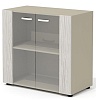 Офисный шкаф низкий  со стеклянными фасадами