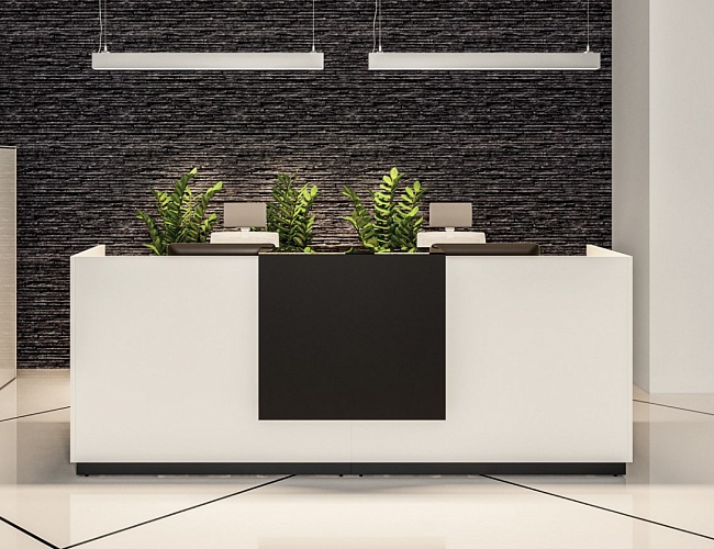 фото ресепшн Fasta White