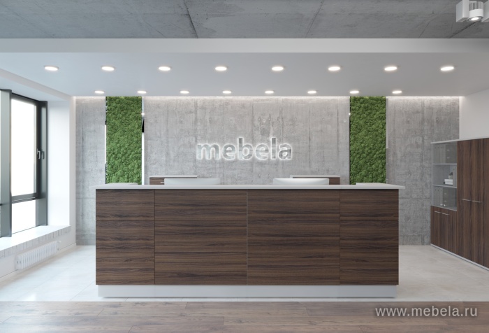 ресепшн Steel Dark