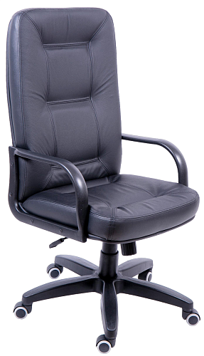 фото кресло Tu Сенатор