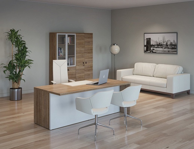 фото кабинет руководителя Terra White №3