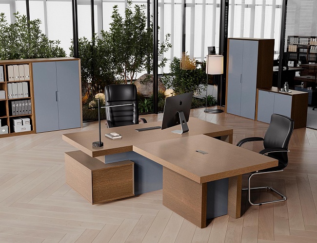 фото кабинет Concept