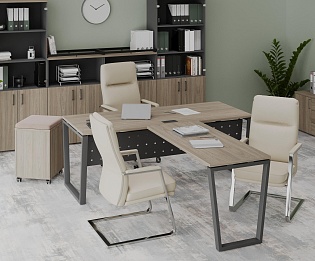 фото кабинет Project Elm T 