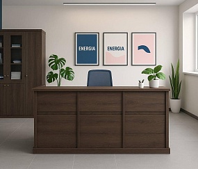 ресепшн Bern Dub