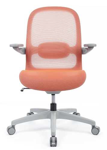 фото кресло RV-Miller №5