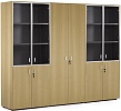 Офисный шкаф со стеклом + гардероб (хром)