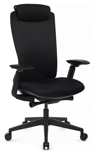 фото кресло RV-Gemini