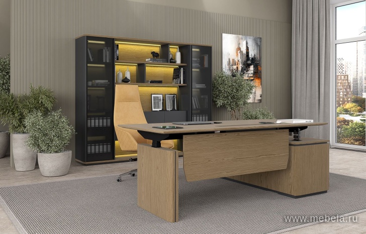 Кабинет руководителя Ion