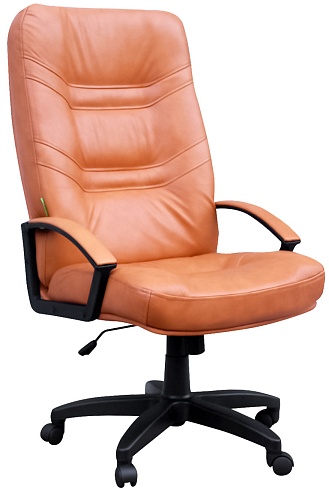 фото кресло Tu Министр MP №5