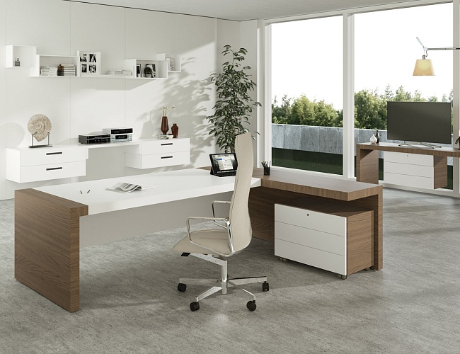 фото кабинет руководителя Kyo №4