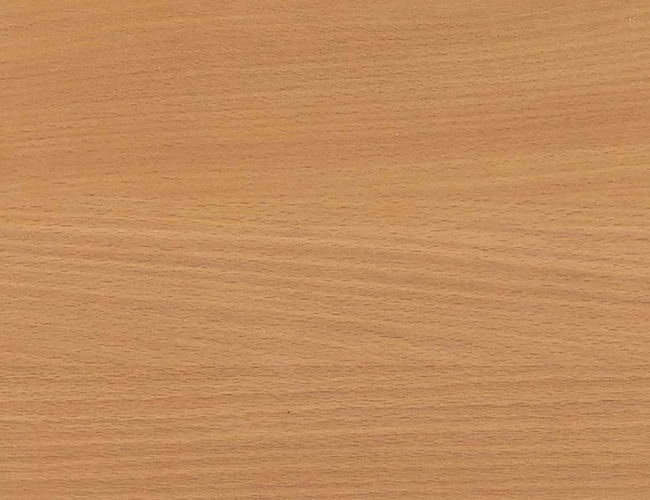 фото ресепшн Бонус Бук №2