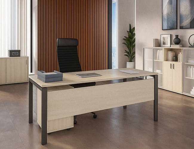 фото кабинет Тренд Металл №2