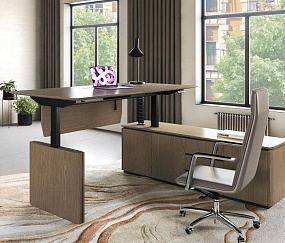 Кабинет руководителя Ion