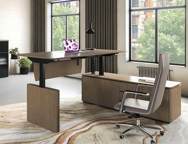 фото Кабинет руководителя Ion