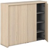 Средний Офисный шкаф для документов и гардероб +обвязка