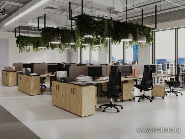 мебель Project Teckwood