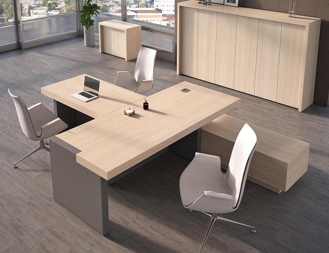 фото кабинет руководителя Era