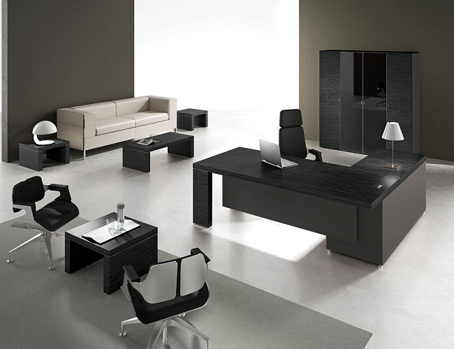 фото кабинет руководителя Titano №2