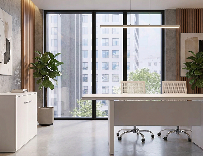 фото кабинет Steel Evo White №4