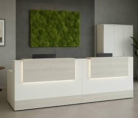 ресепшн Style Dub