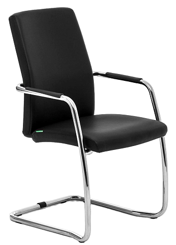 фото кресло Well Seat