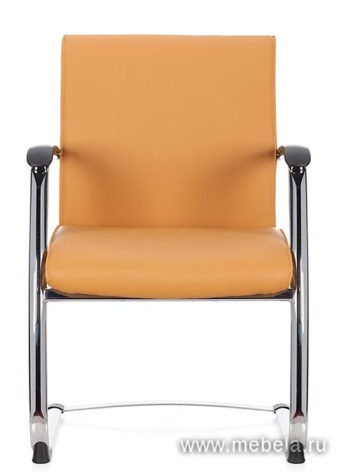 кресло Берн D40