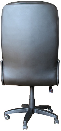 фото кресло Tu Министр №3