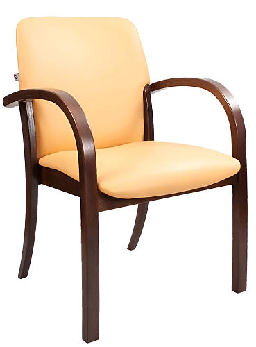 фото стул Nw Jack arm №5