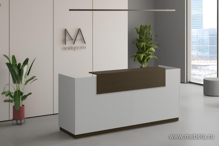 стойка ресепшн A4 +