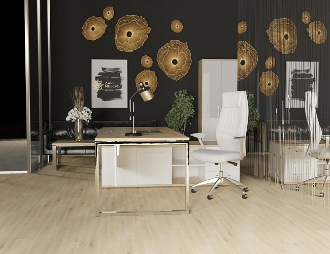 фото кабинет Шифт Хром Тиквуд №5