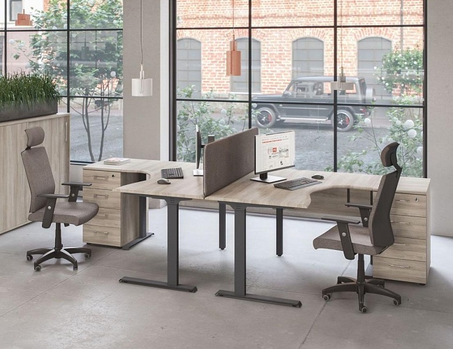 фото мебель Alta ML