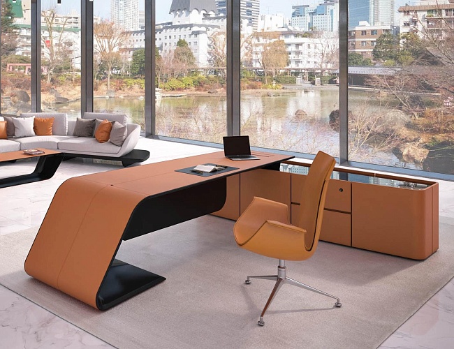 фото кабинет Bugatti Eco