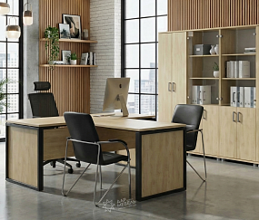 кабинет Аргентум-М Баттл