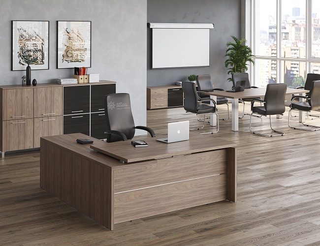 фото кабинет Yalta Elm №3