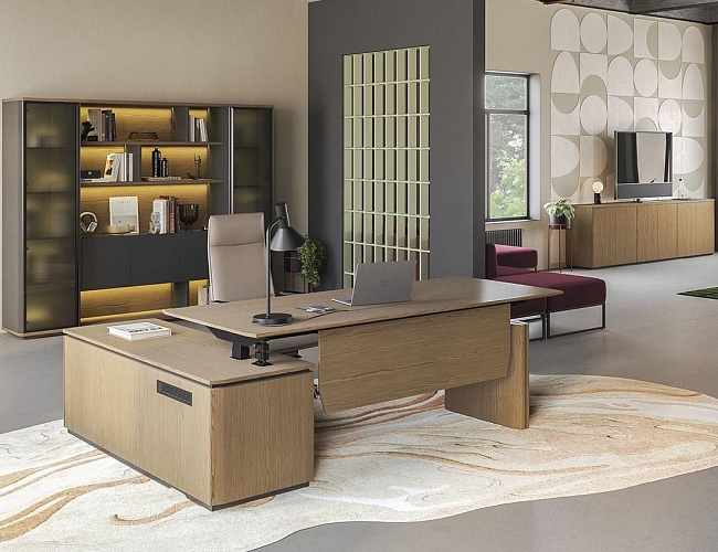 фото Кабинет руководителя Ion №2