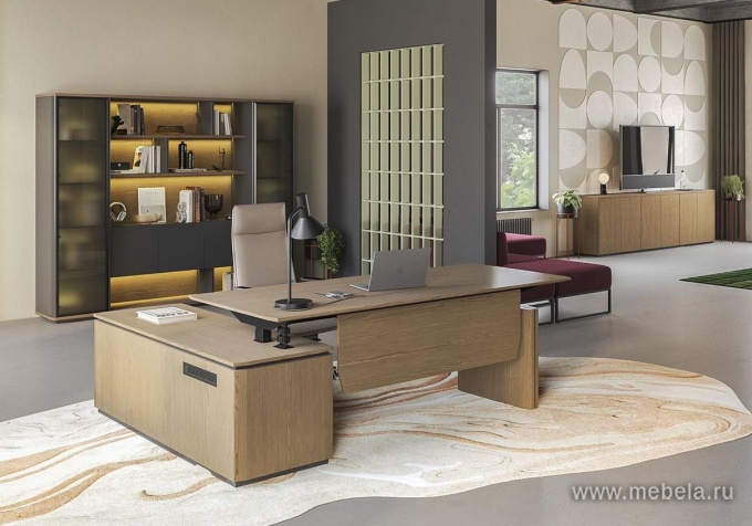 Кабинет руководителя Ion