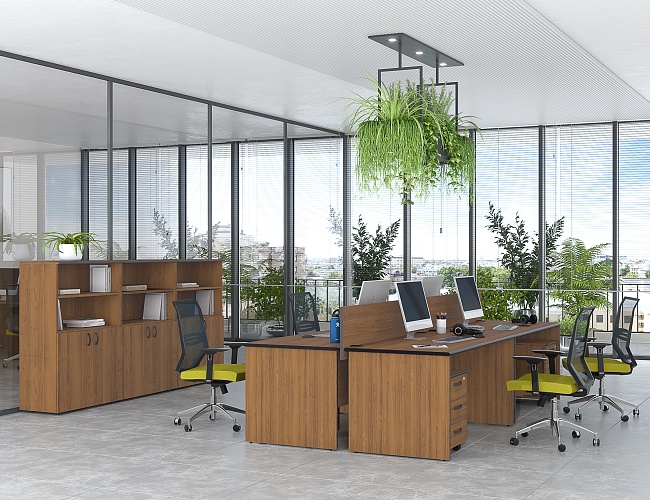 фото офисная мебель Дин-Р №3